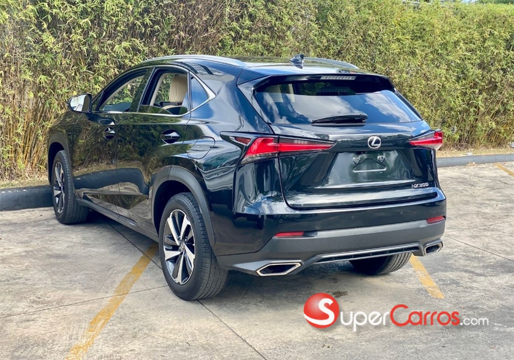2018 Lexus NX 300 — foto 2 / 12