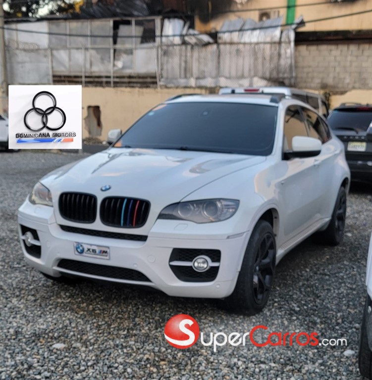 2010 BMW X 6