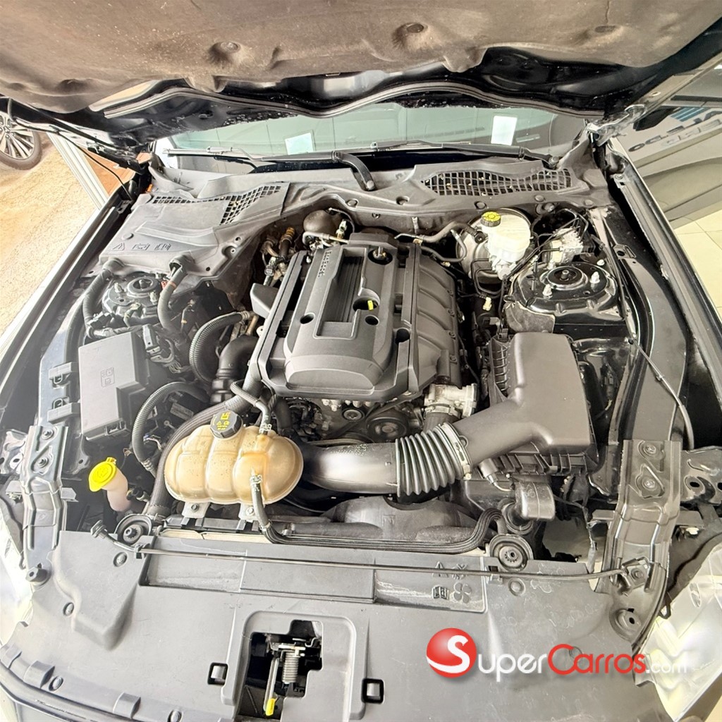 2019 Ford Mustang Ecoboost — foto 10 / 10