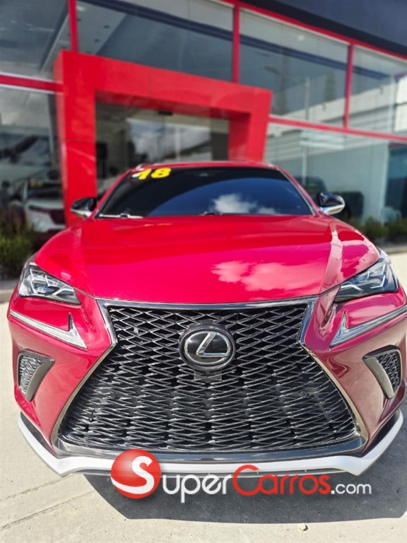 2018 Lexus NX 300 F Sport — foto 12 / 12