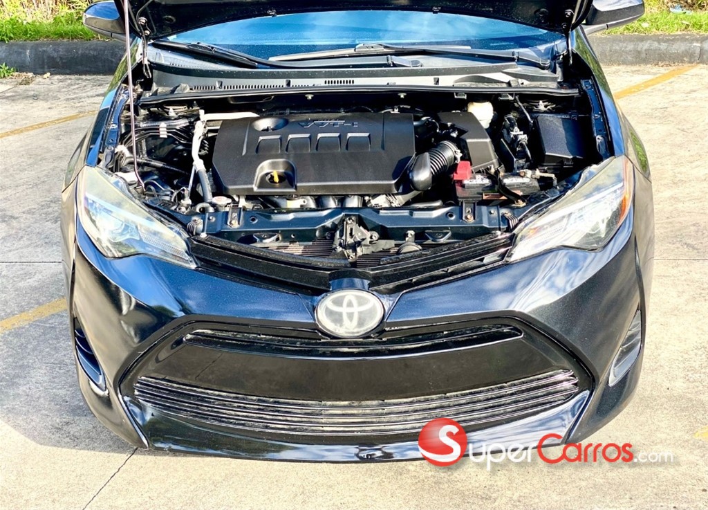 2019 Toyota Corolla LE — foto 6 / 11