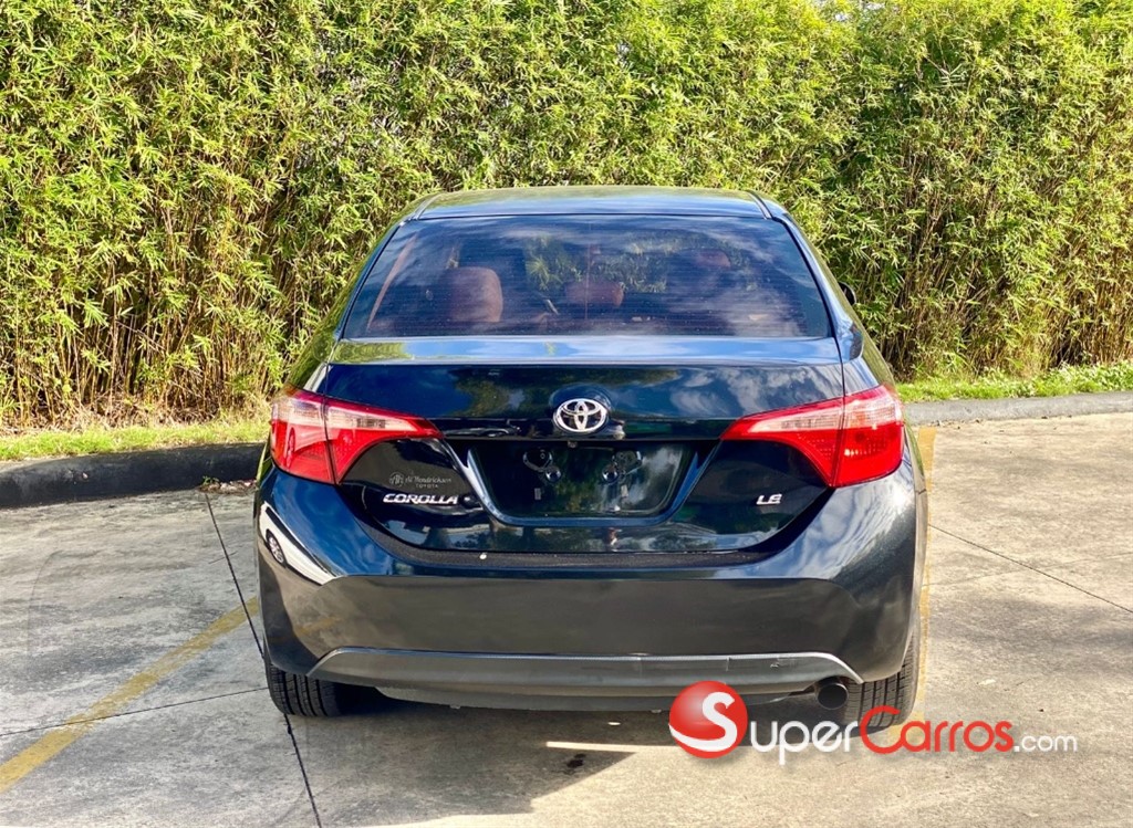 2019 Toyota Corolla LE — foto 10 / 11