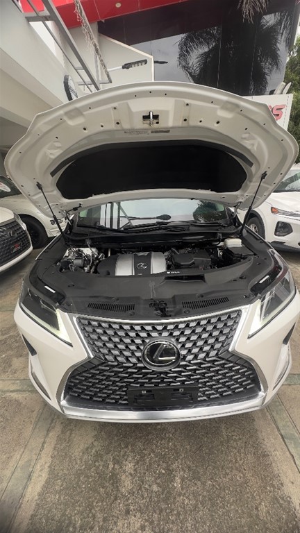 2022 Lexus RX 350 — foto 12 / 12
