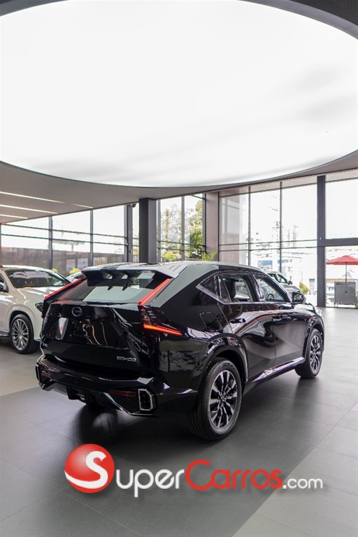 2025 GAC Emkoo — foto 11 / 12