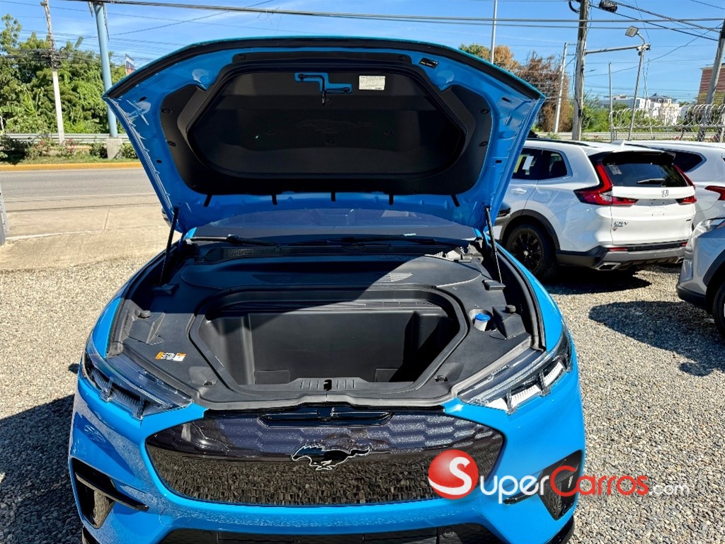 2022 Ford Mustang Mach-E GT Performance — foto 12 / 12