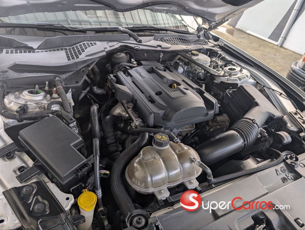 2019 Ford Mustang Ecoboost Premium — foto 11 / 11