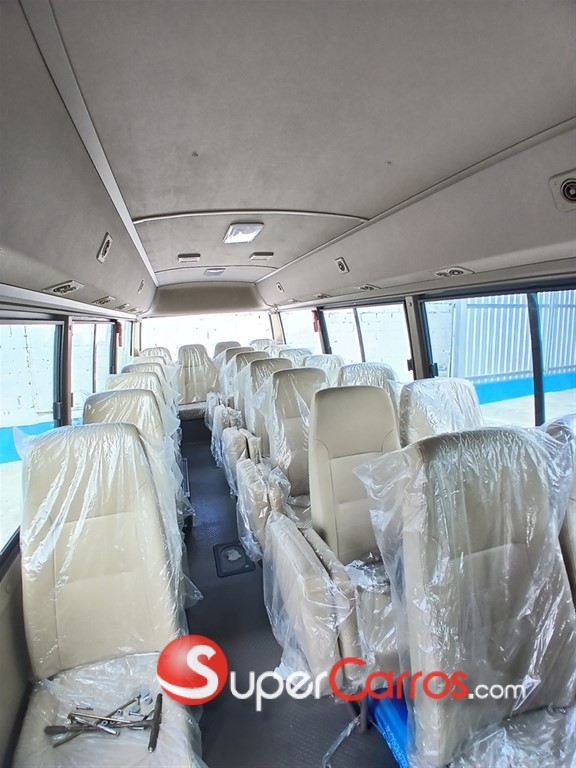 2026 Golden Dragon XML — foto 7 / 12