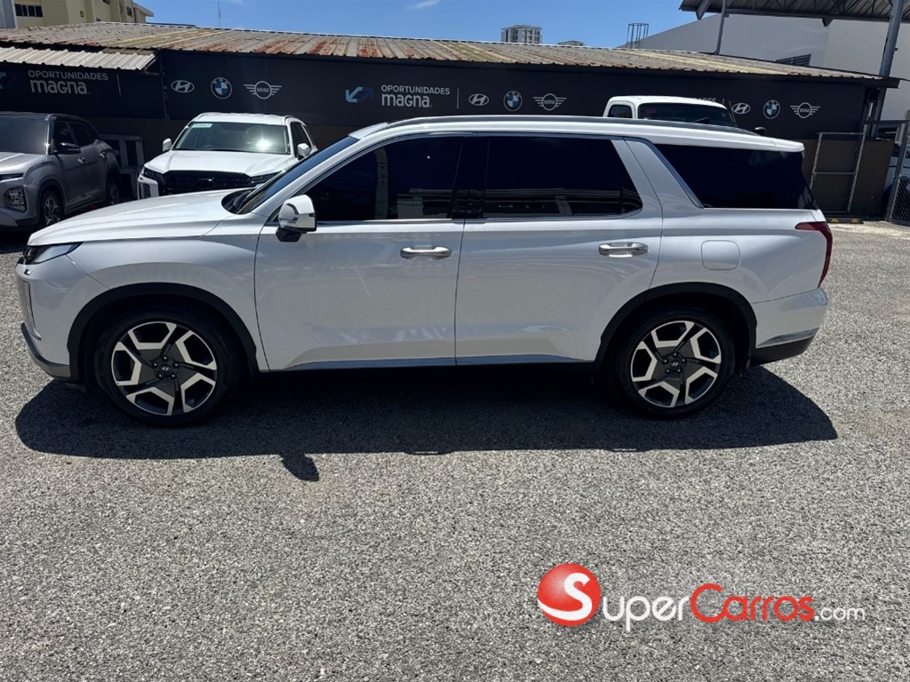 2024 Hyundai Palisade — foto 11 / 12