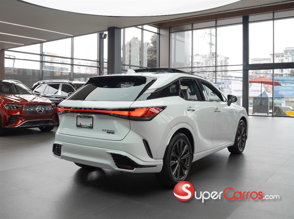 2023 Lexus RX 500H F SPORT — foto 6 / 10