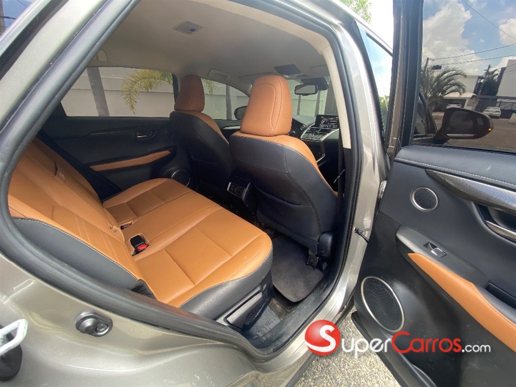 2019 Lexus NX 300 — foto 12 / 12
