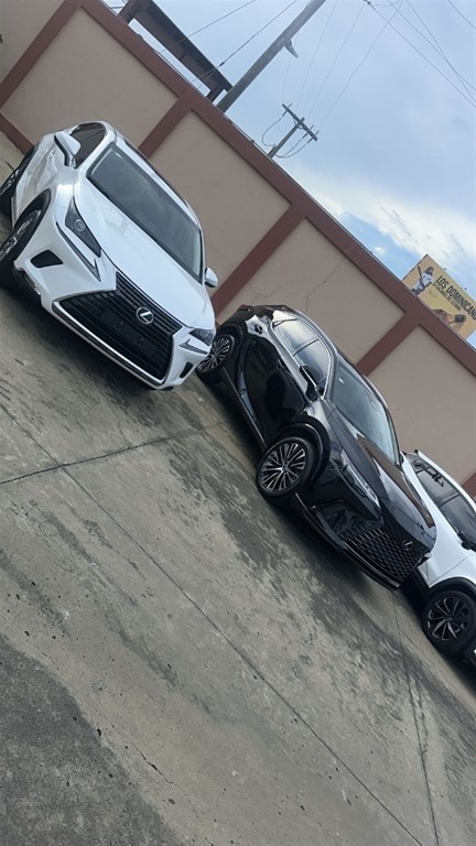 2018 Lexus NX 300 — foto 12 / 12