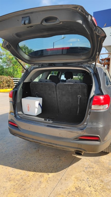 2017 Kia Sorento — foto 6 / 7
