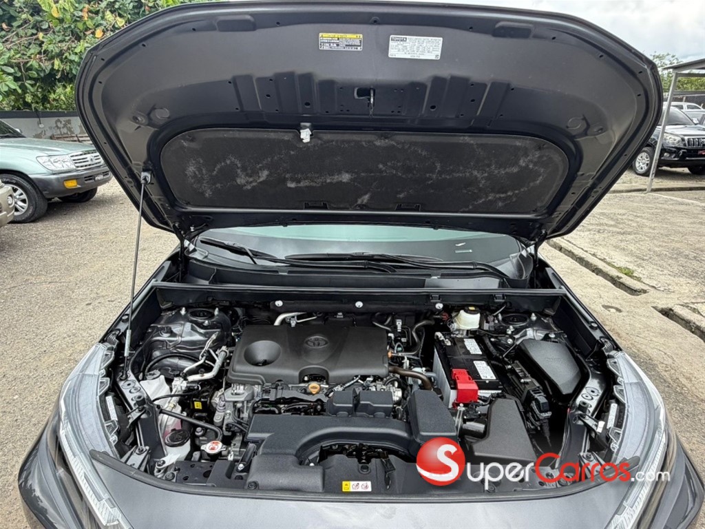 2025 Toyota RAV4 LE — foto 10 / 12