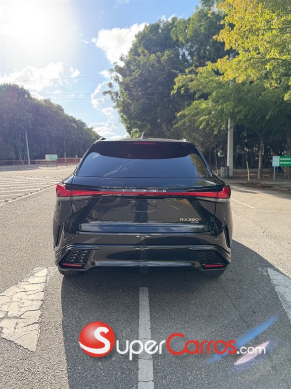 2023 Lexus RX 350 F Sport — foto 9 / 10