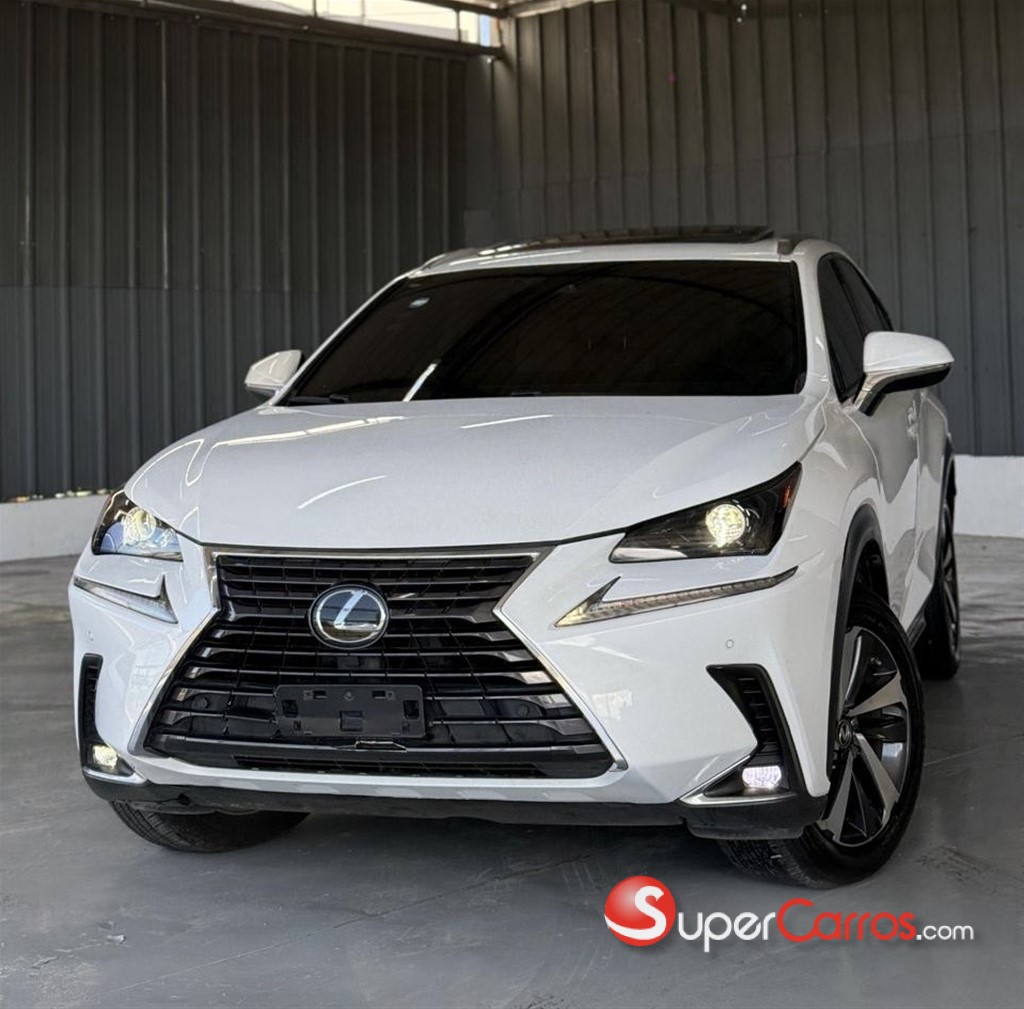 2018 Lexus NX 300