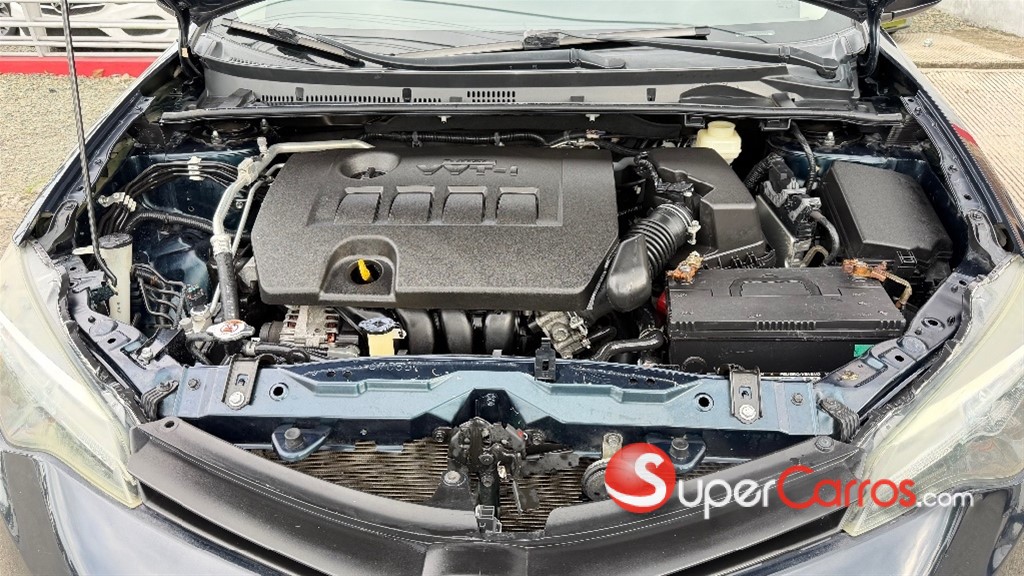 2019 Toyota Corolla LE — foto 9 / 10