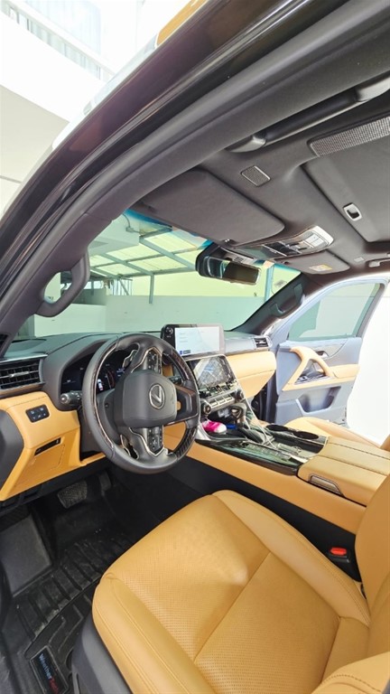 2025 Lexus LX 500d — foto 8 / 12
