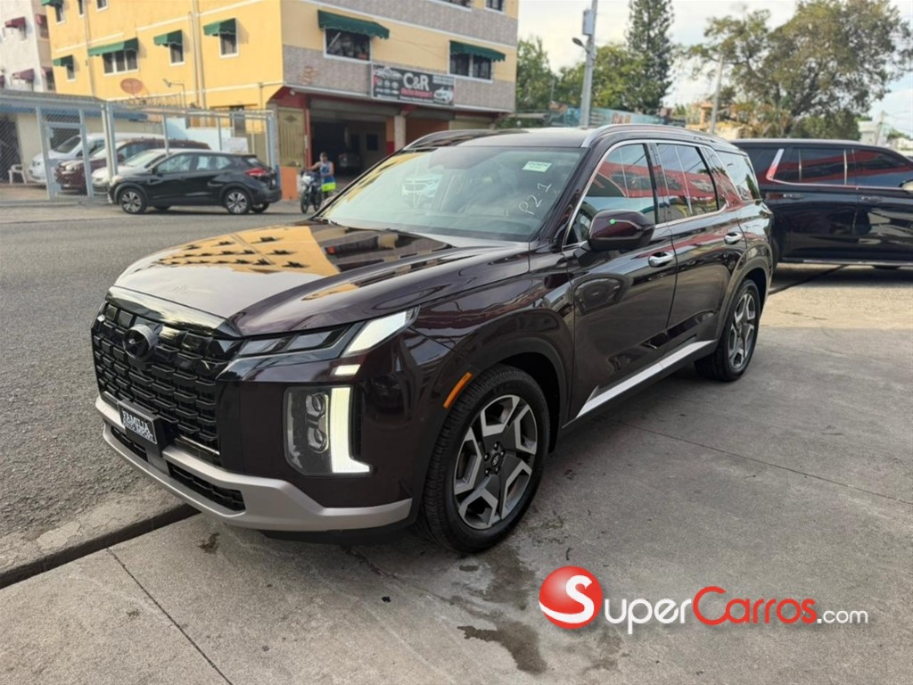 2024 Hyundai Palisade SEL — foto 4 / 11