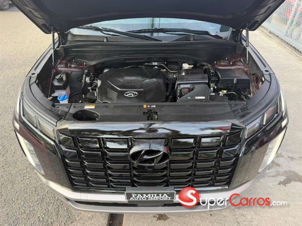 2024 Hyundai Palisade SEL — foto 10 / 11