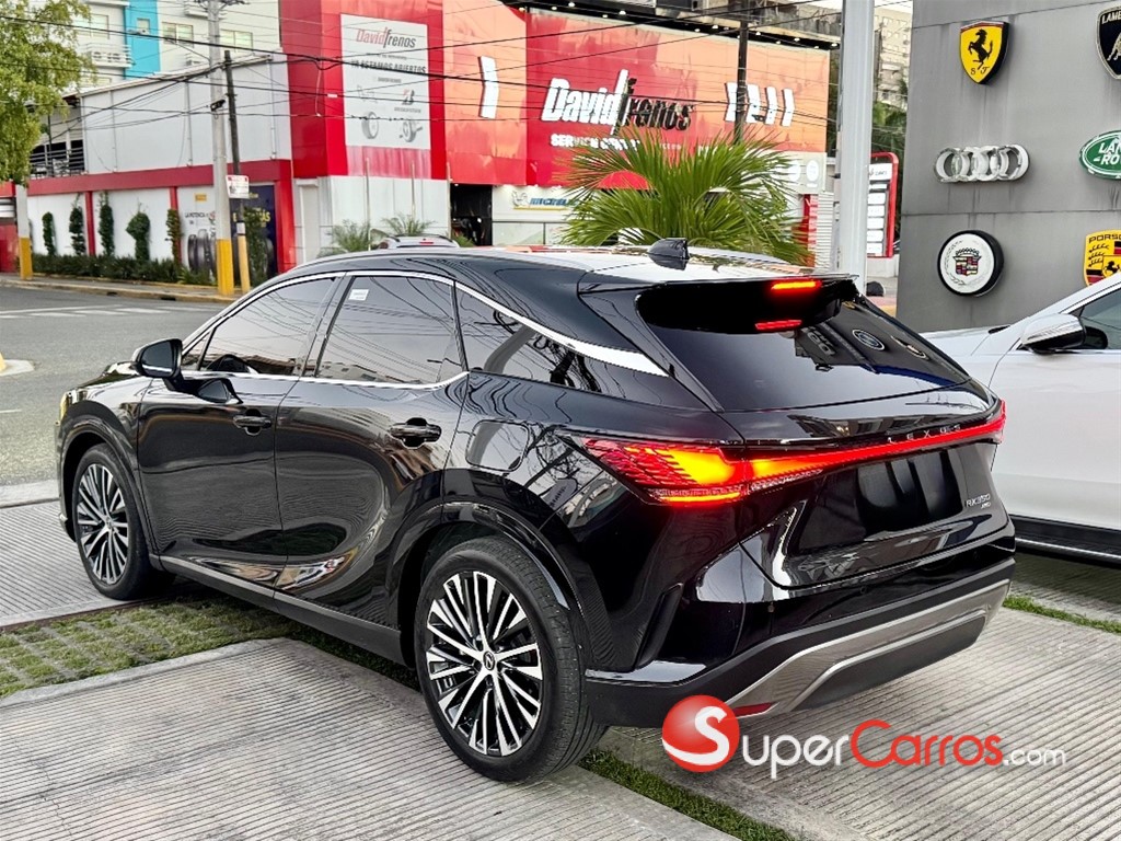 2024 Lexus RX 350 Luxury — foto 9 / 11