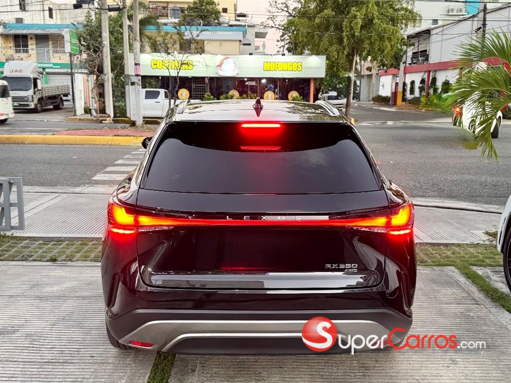 2024 Lexus RX 350 Luxury — foto 10 / 11