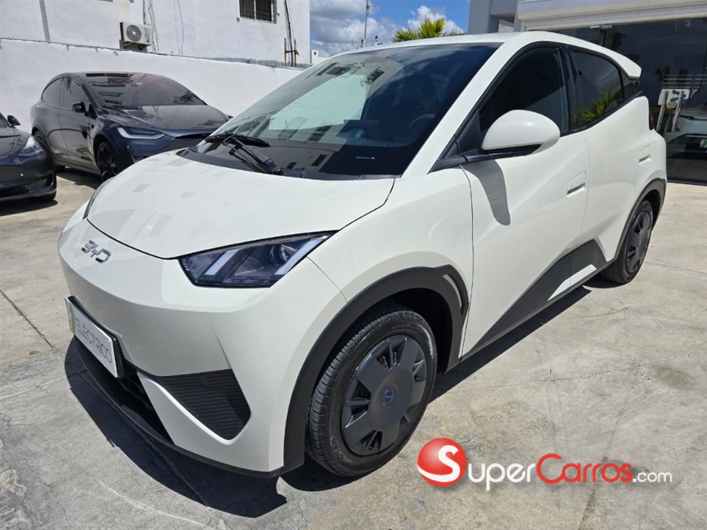 2025 BYD Seagull