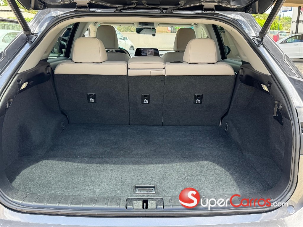 2020 Lexus RX 350 — foto 12 / 12