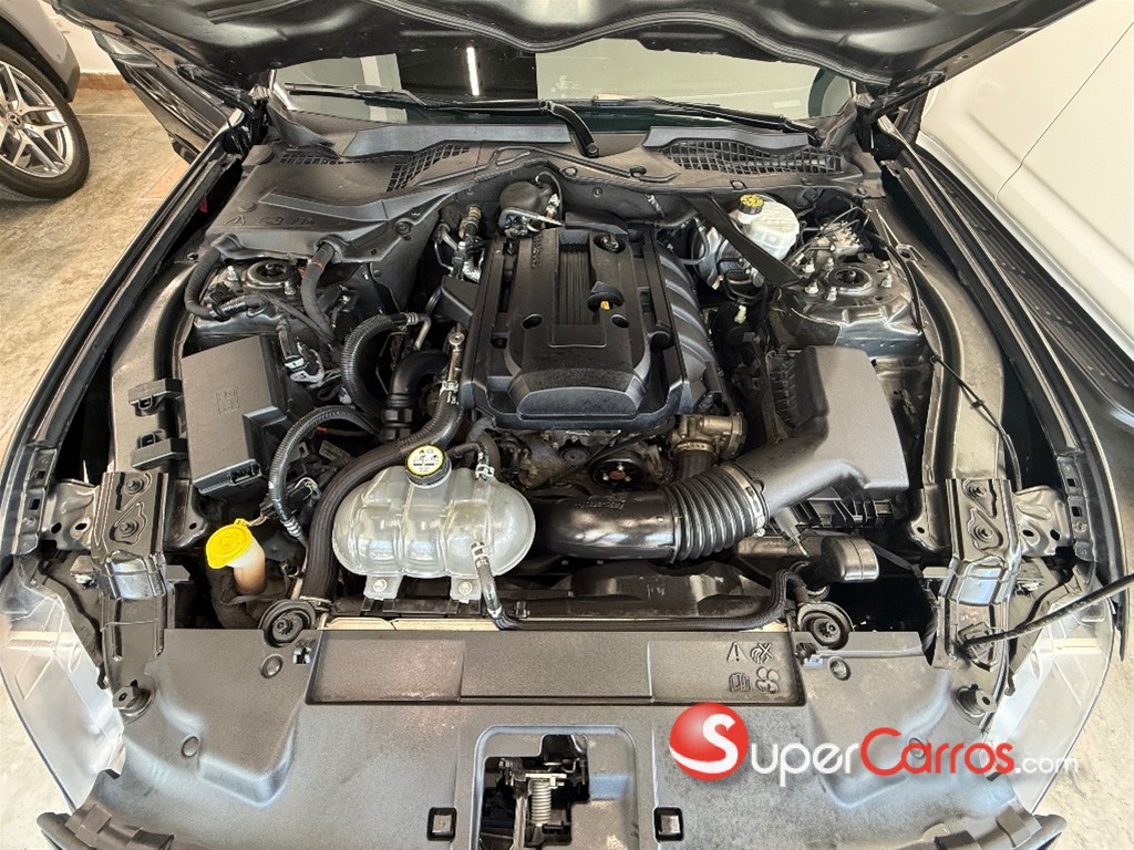 2019 Ford Mustang Ecoboost — foto 11 / 12