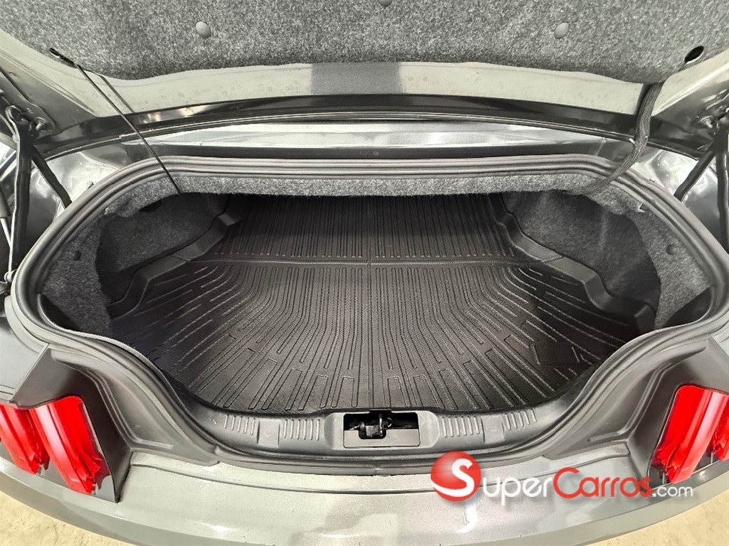 2019 Ford Mustang Ecoboost — foto 12 / 12