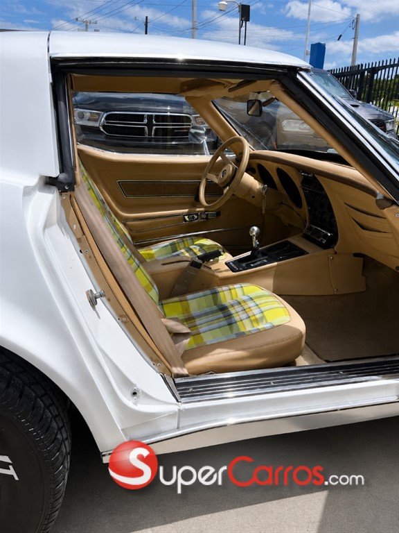 1976 Chevrolet Corvette Stingray — foto 5 / 9