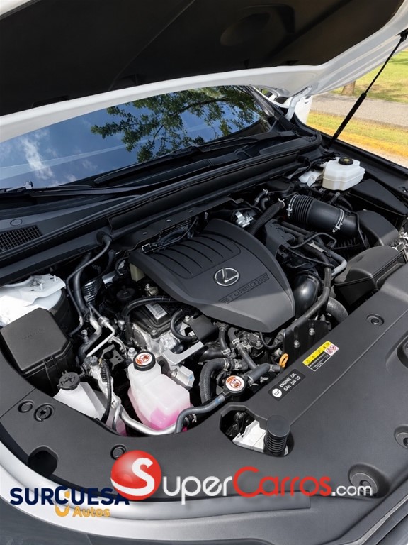 2024 Lexus RX 500H F SPORT — foto 8 / 10