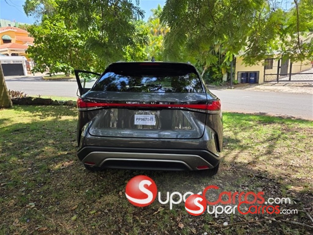 2024 Lexus RX 350 Premium Plus — foto 5 / 12