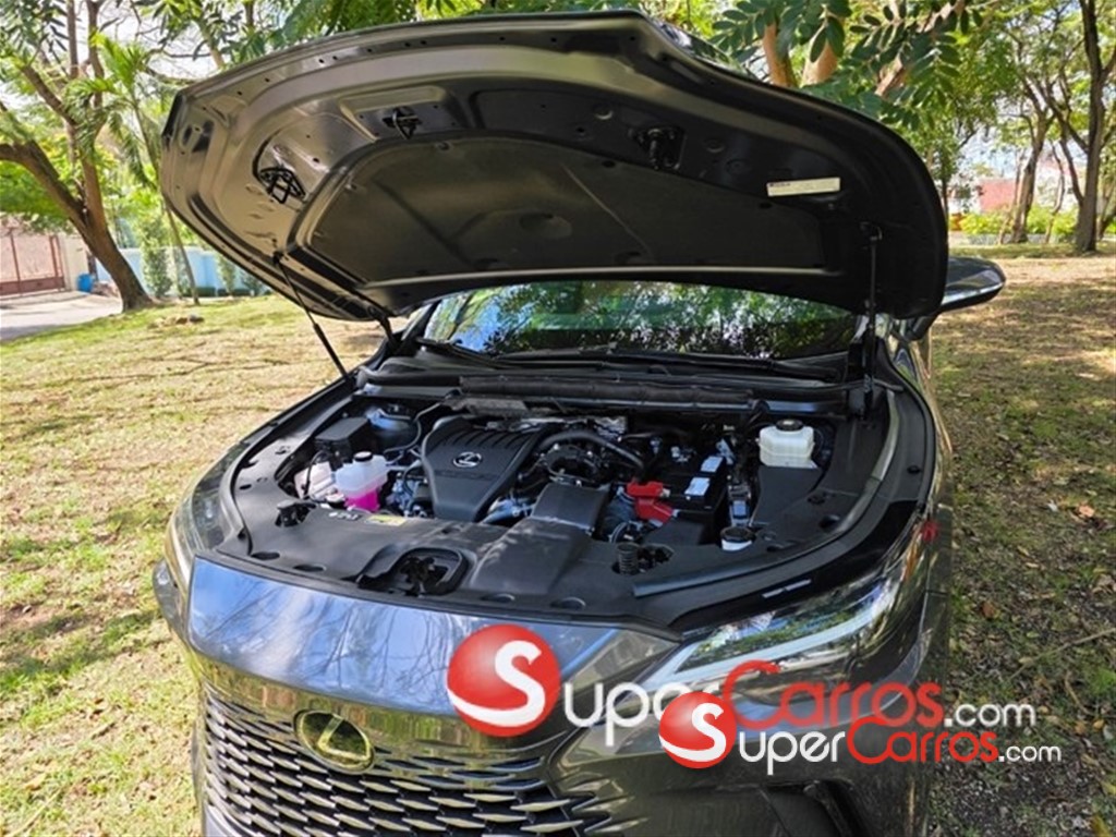2024 Lexus RX 350 Premium Plus — foto 10 / 12