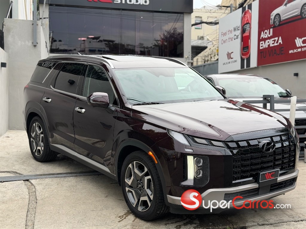 2024 Hyundai Palisade SEL — foto 3 / 12