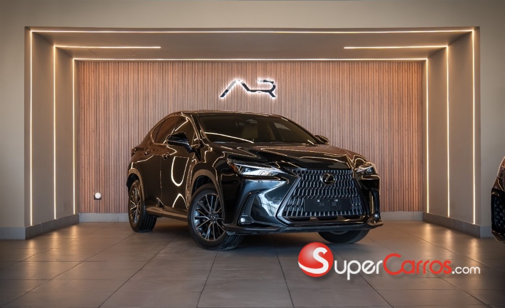 2025 Lexus NX 250