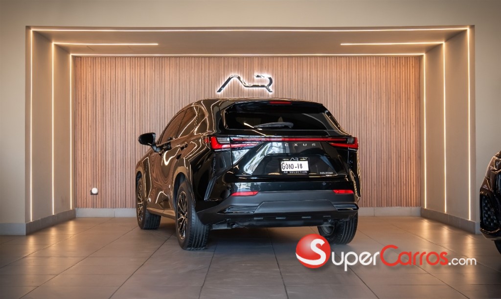 2025 Lexus NX 250 — foto 5 / 12