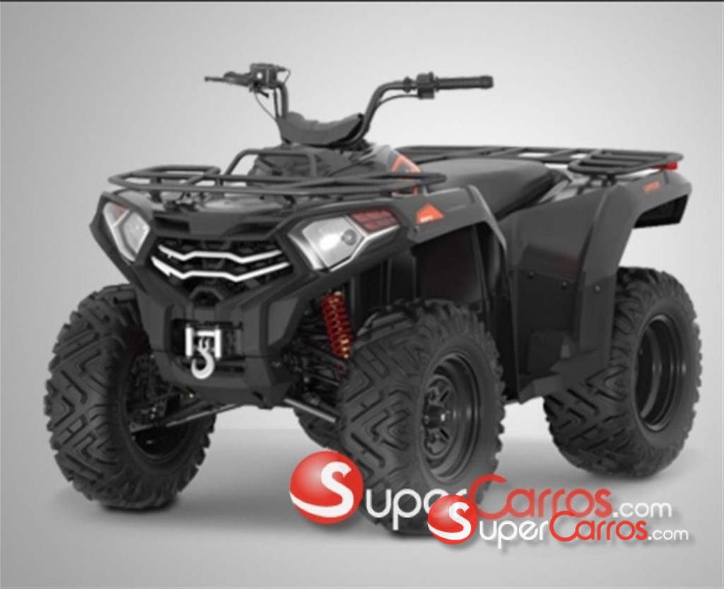 2023 Loncin 300