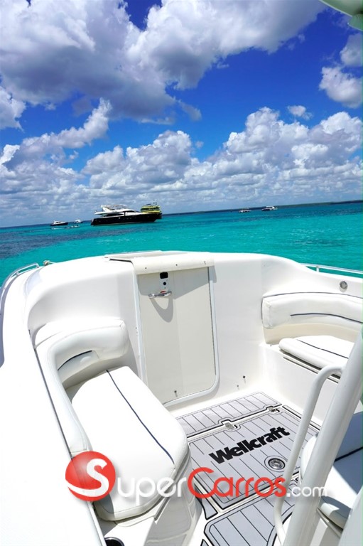 2007 Wellcraft Fisherman 262 — foto 5 / 10