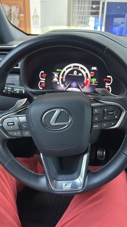 2024 Lexus LX 600 F Sport — foto 9 / 12