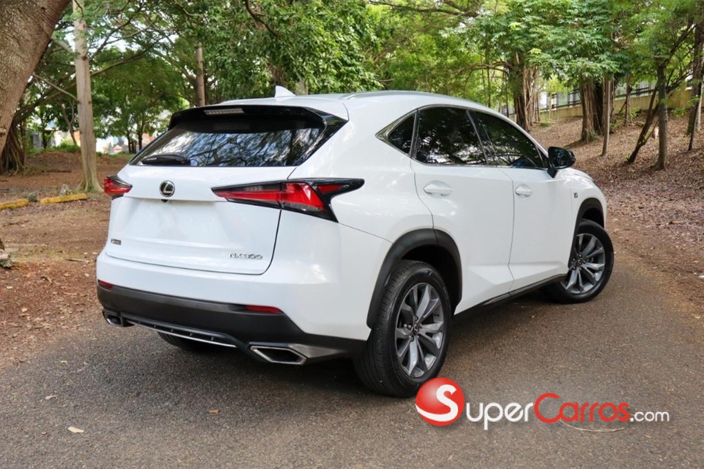 2019 Lexus NX 300 F Sport — foto 9 / 10