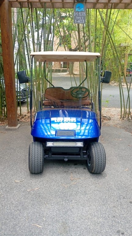 2012 EZGO Golf Car
