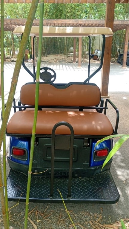 2012 EZGO Golf Car — foto 3 / 3
