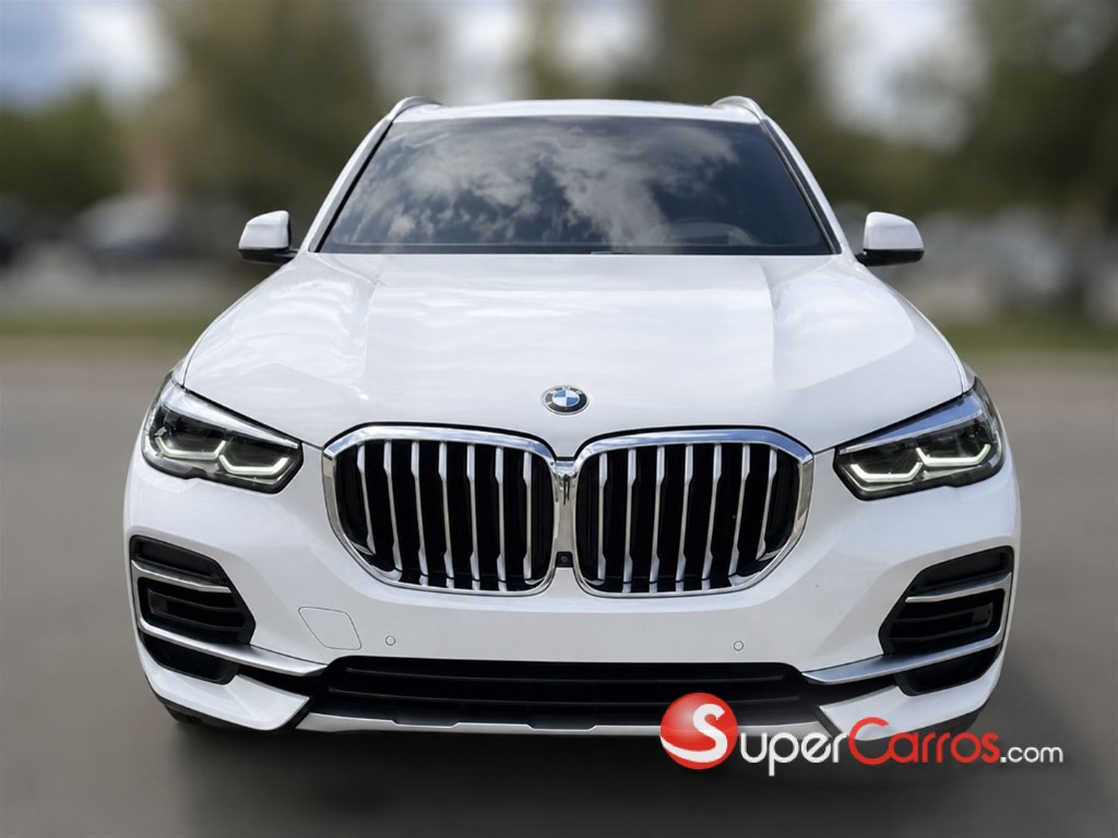 2020 BMW X 5 30D — foto 4 / 10