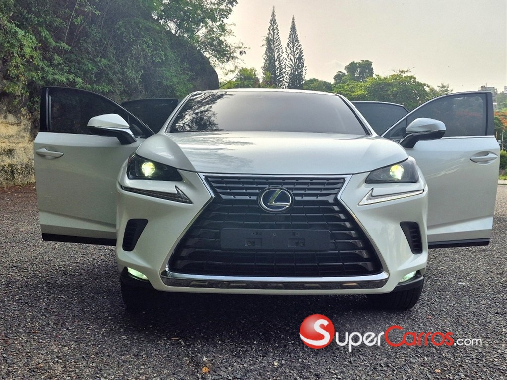 2020 Lexus NX