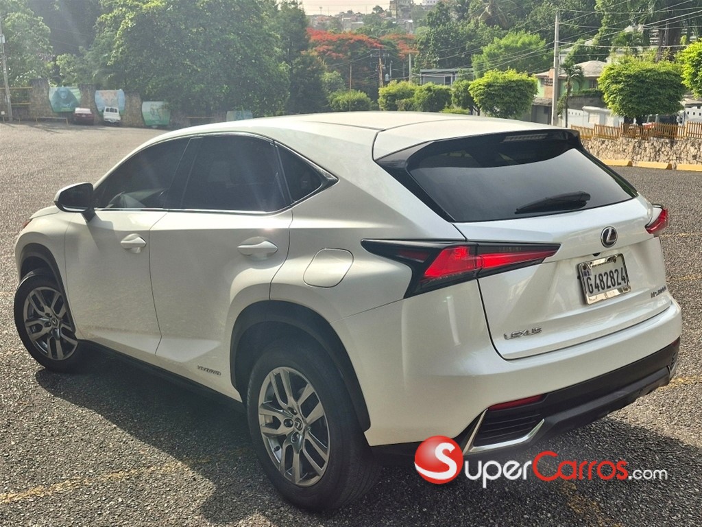 2020 Lexus NX — foto 9 / 10