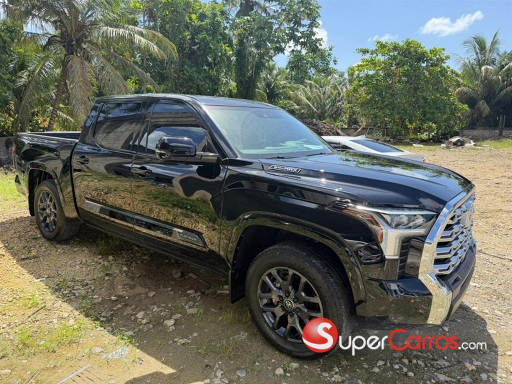 2025 Toyota Tundra Platinum — foto 6 / 10