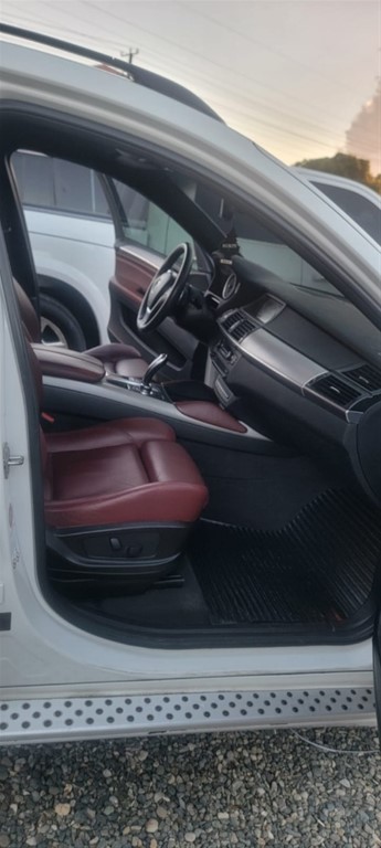 2010 BMW X 6 — foto 2 / 12