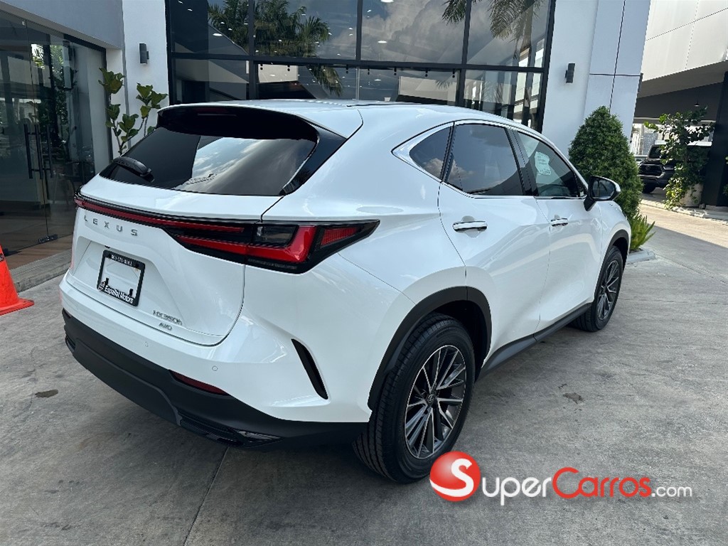 2027 Lexus NX 300 Hybrid — foto 10 / 10