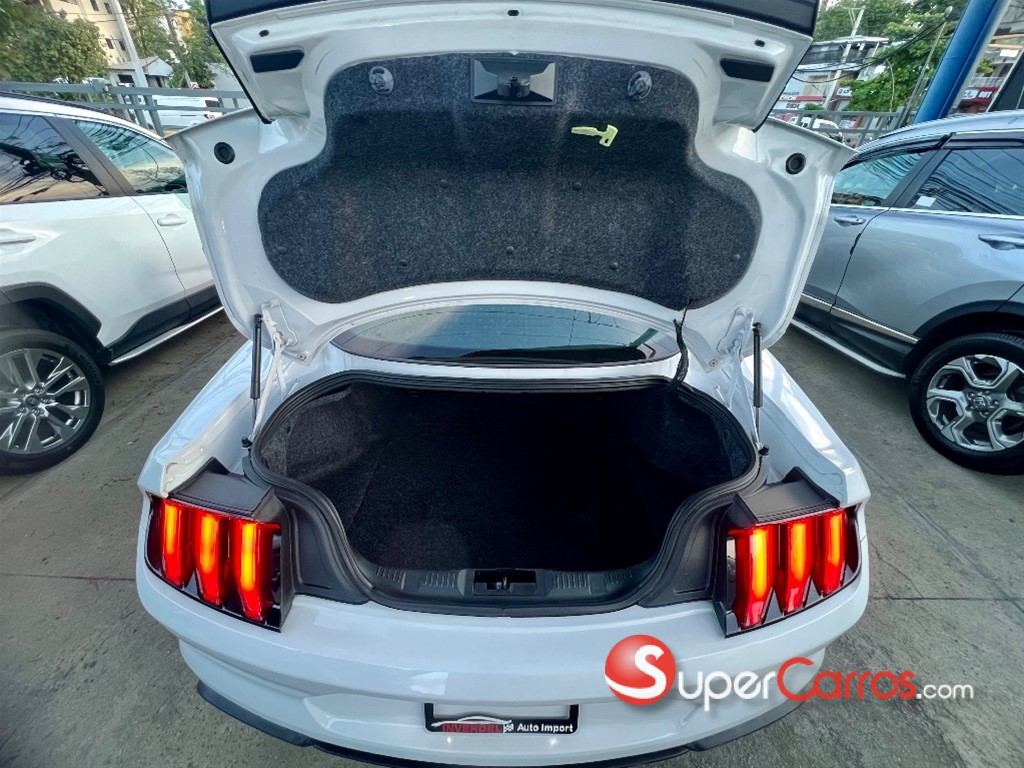 2019 Ford Mustang Ecoboost — foto 10 / 11