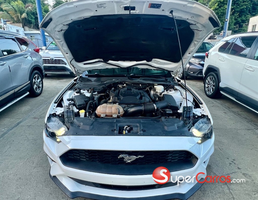 2019 Ford Mustang Ecoboost — foto 11 / 11